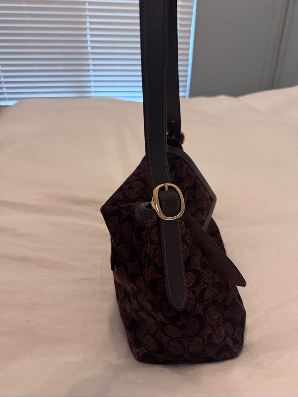 Rare Coach Large Etta Chenille Limited Drop - Picture 2 of 12